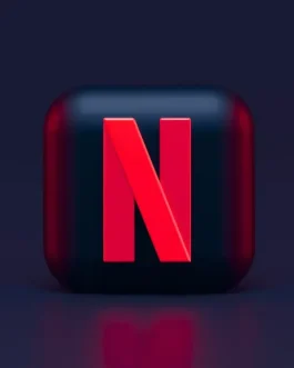 Netflix 1 Month Subscription